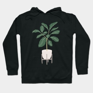 Minimalist potter plants Hoodie